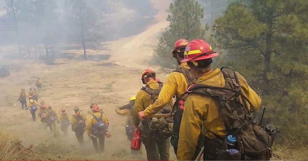 Wildland firefighters trek downhill into a smoke-filled forest landscape.