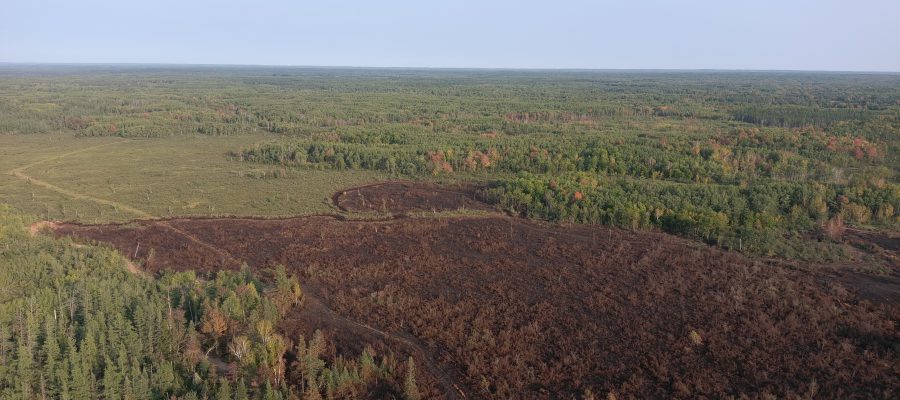 Aerial image of a fire burnt landscape in N MN.