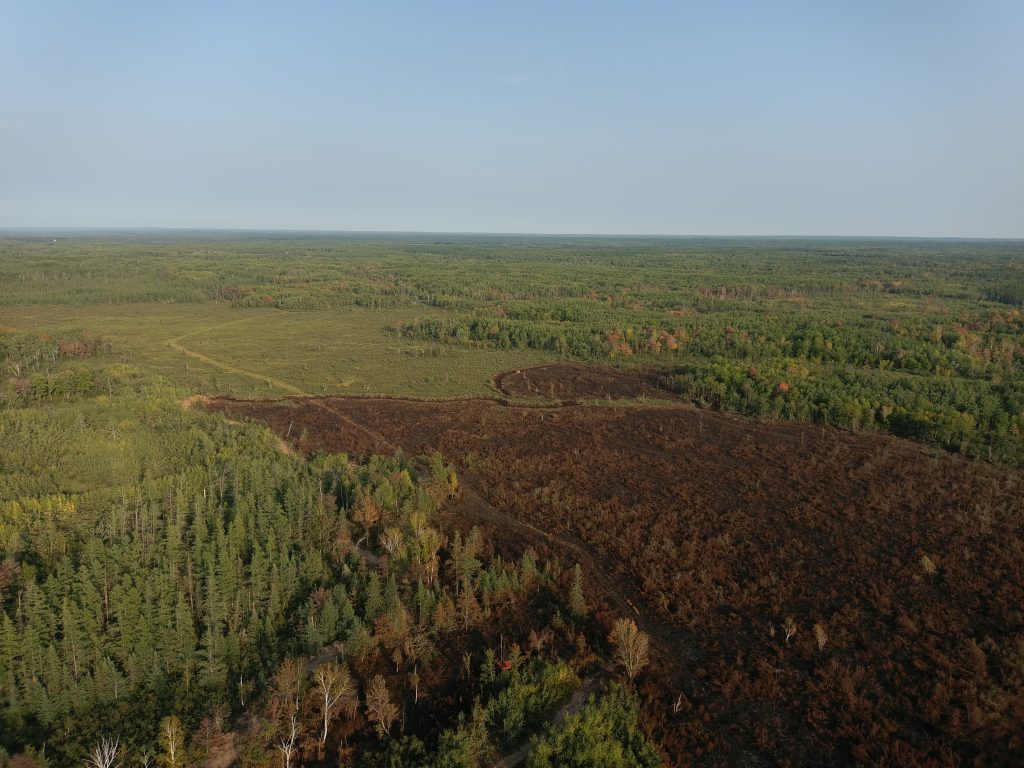 Aerial fire overview of the County Rd. 11 fire. Expansive forest landscape with burnt area.