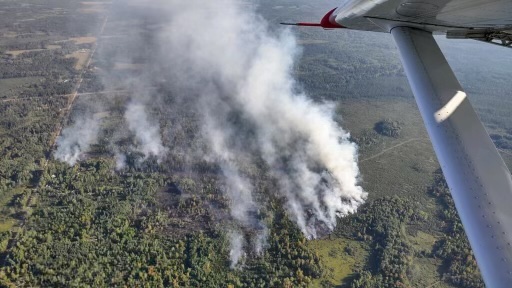 An aerial view of a green forested marshland area with white smoke streams rising from the ground. A aircraft wing with a red tip in the upper right corner of the photo.