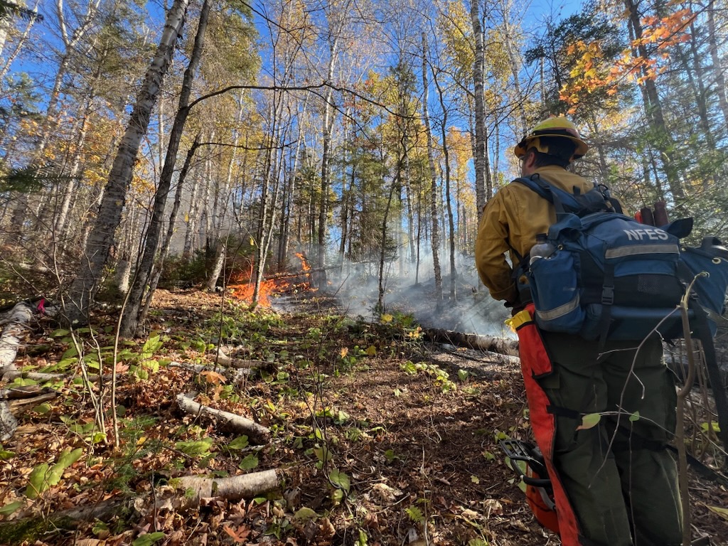 Firefighter standing downhill looks up toward the Crosby fire.
