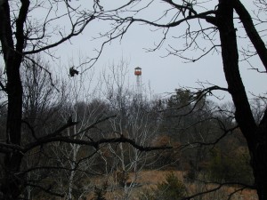 Sand Dunes State Forest fire tower